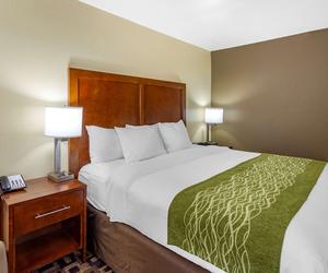 Photo 5 - Comfort Inn & Suites North Aurora - Naperville