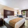 Photo 10 - Quality Inn & Suites Rockingham