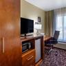Photo 4 - Comfort Inn & Suites North Aurora - Naperville