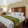 Photo 9 - Comfort Inn & Suites North Aurora - Naperville