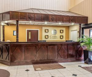 Photo 5 - Comfort Inn & Suites Ft. Jackson Maingate