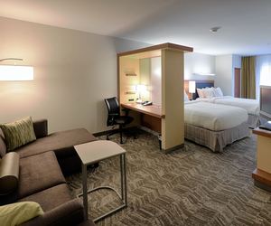 Photo 5 - SpringHill Suites by Marriott Albany-Colonie